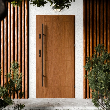 Drzwi zewnętrzne stalowe do domu Basic Black 72mm z antabą/pochwytem energooszczędne Ud=1.3 bez szyby pełne Program Czyste Powietrze