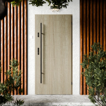 Basic Black CK drzwi zewnętrzne 72 mm z antabą/pochwytem energooszczędne Ud-1.3 bez przeszklenia pełne Program Czyste Powietrze