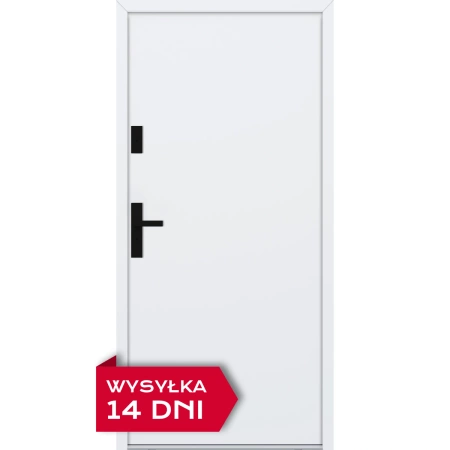 Drzwi zewnętrzne do domu stalowo aluminiowe 68 mm z czarnymi okuciami ATU68 białe Program Czyste Powietrze M527