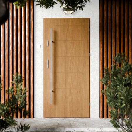 Drzwi zewnętrzne stalowe do domu Basic Inox 72mm z antabą/pochwytem energooszczędne Ud=1.3 bez szyby pełne Program Czyste Powietrze