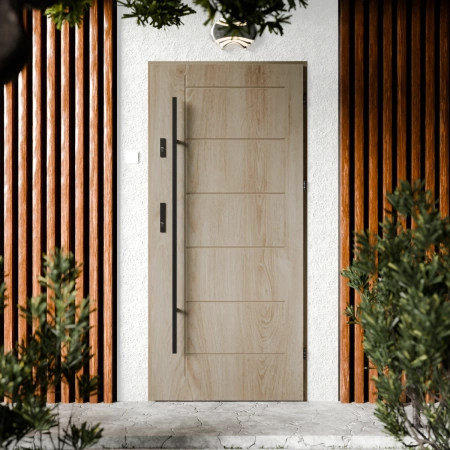 Basic Black CK drzwi zewnętrzne 72 mm z antabą/pochwytem energooszczędne Ud-1.3 bez przeszklenia pełne Program Czyste Powietrze