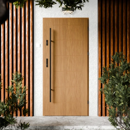 Drzwi zewnętrzne stalowe do domu Basic Black 72mm z antabą/pochwytem energooszczędne Ud=1.3 bez szyby pełne Program Czyste Powietrze